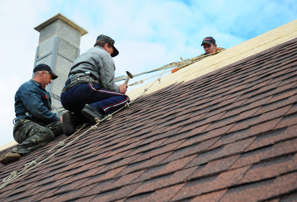 Best Sealant for Roof  in Kealakekua, HI